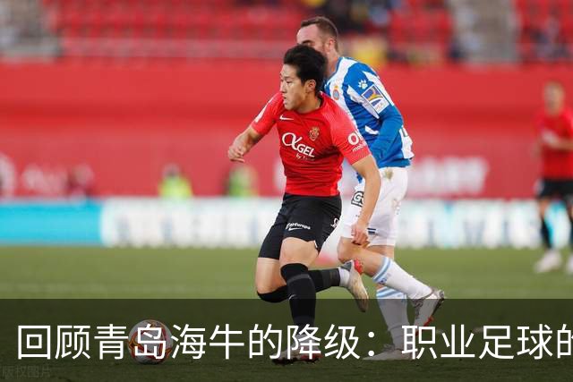 回顾青岛海牛的降级：职业足球的沉浮与希望