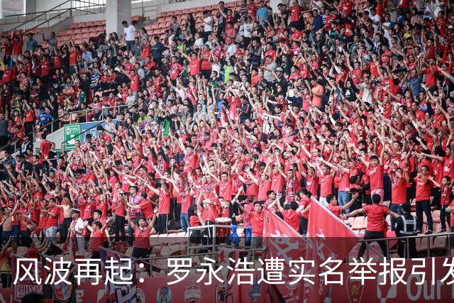 风波再起：罗永浩遭实名举报引发的激烈对抗